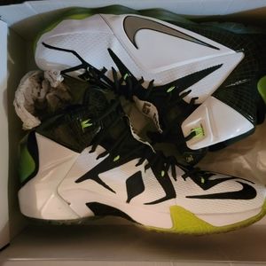Lebron James shoes